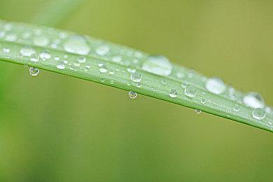 剧情向RPG游戏《缠罗深梦》Steam页面上线 发售日期待定